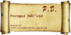 Pozsgai Dávid névjegykártya